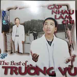 Trường Vũ - Gặp Nhau Làm Chi - The Best Of Trường Vũ mp3