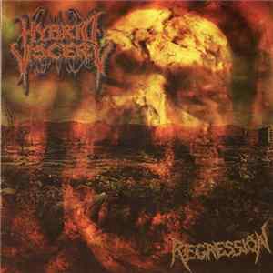 Hybrid Viscery - Regression mp3