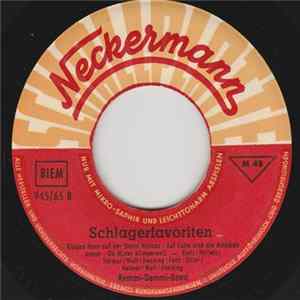 Remmi-Demmi-Band - Schlagerfavoriten mp3