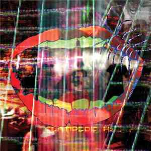 Animal Collective - Centipede Hz mp3