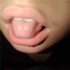 Various - Wet-Works Sound Sampler Vol. 2 mp3