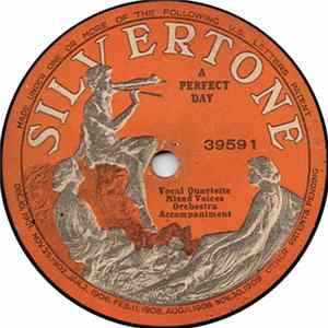 Unknown Artist - A Perfect Day mp3