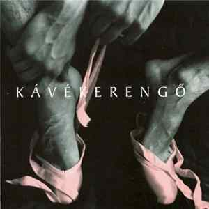 Largo Cammino - Kávékeringő mp3