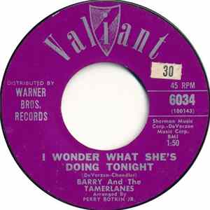 Barry And The Tamerlanes - I Wonder What She's Doing Tonight mp3