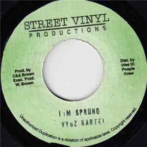 T. Pain & Kartel / Sizzla - I'm Sprung RMX / Ultimate Hustler mp3