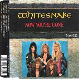 Whitesnake - Now You're Gone mp3