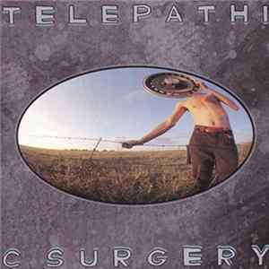 The Flaming Lips - Telepathic Surgery mp3
