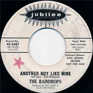 The Raindrops - Another Boy Like Mine / One More Tear mp3