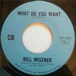 Bill Misener - What Do You Want mp3