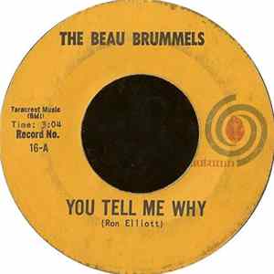 The Beau Brummels - You Tell Me Why mp3
