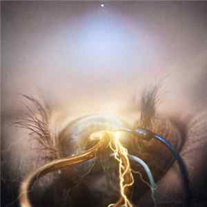 The Agonist - Eye Of Providence mp3