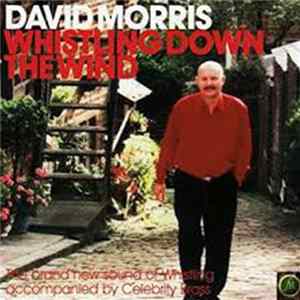 David Morris - Whistling Down The Wind mp3
