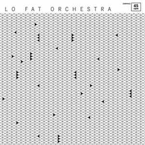 Lo Fat Orchestra - We Need You mp3