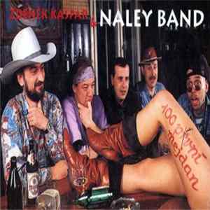 Zdeněk Kašpar & Naley Band - 100 První Mejdan mp3