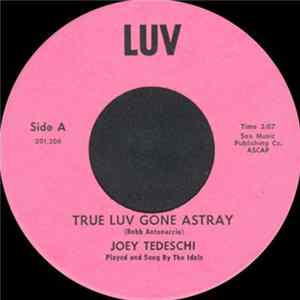 The Idols - True Luv Gone Astray / Haunted House mp3
