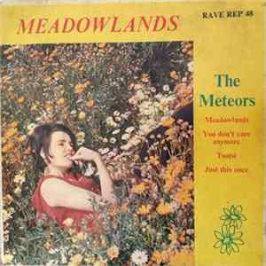 The Meteors - Meadowlands mp3