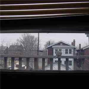 Mystified - Urban Study mp3