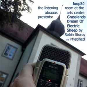 Robin Storey With Mystified - Grasslands Dream Of Electric Sheep mp3