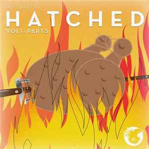 Various - Dirtybird Hatched (Vol1•Part3) mp3