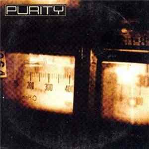 Purity - Days Go By mp3