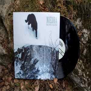 Niedra - Forest Wave Of Heavy Punk mp3