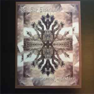 3rd Ear Experience - Stones Of A Feather mp3