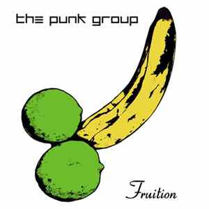 The Punk Group - Fruition mp3