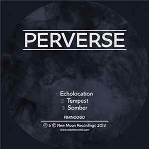 Perverse - Echolocation mp3