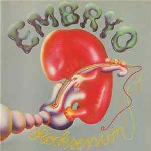 Embryo - Rocksession mp3