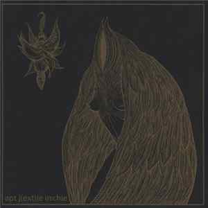 apt j(ext)ie irrchie - Night Wearing Feathers / Sunshine Bus Rider mp3