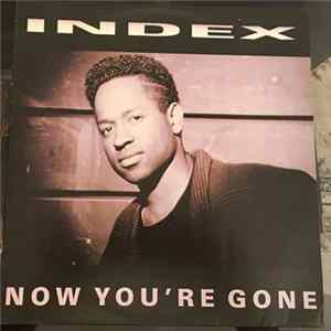 In-Dex - Now You're Gone mp3