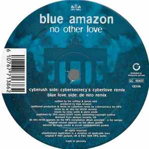 Blue Amazon - No Other Love mp3