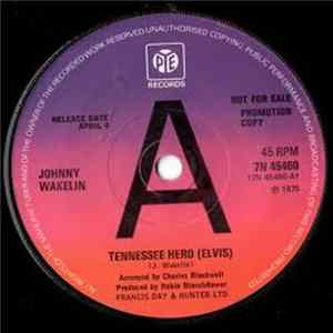 Johnny Wakelin - Tennessee Hero (Elvis) mp3