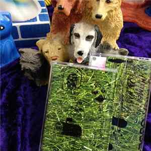 229 - High Cube mp3