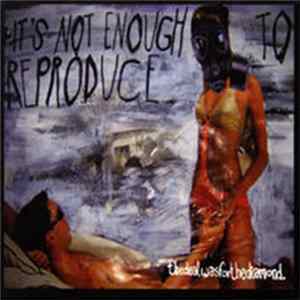 Thedealwasforthediamond - It's Not Enough To Reproduce mp3