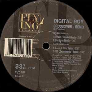 Digital Boy - Crossover (Remix) mp3