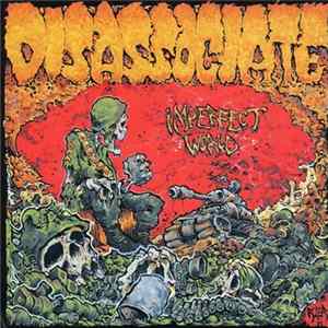Disassociate - Imperfect World mp3