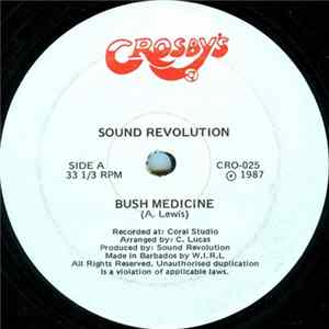 Sound Revolution - Shake It mp3