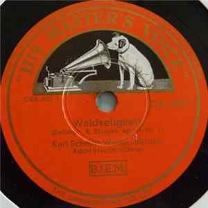 Karl Schmitt-Walter, Adolf Stauch, Richard Strauss - Waldseligkeit , Heimliche Aufforderung mp3