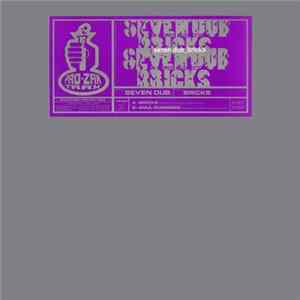 Seven Dub - Bricks mp3