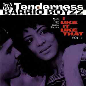 Barrio Boyzz - Try A Little Tenderness mp3