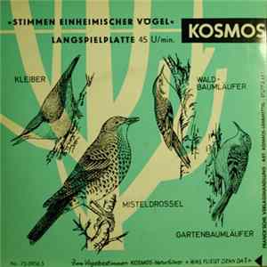 No Artist - Stimmen Einheimischer Vögel mp3