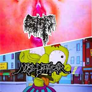 Cunts / Noise Brutalizer - Cunts / Noise Brutalizer mp3