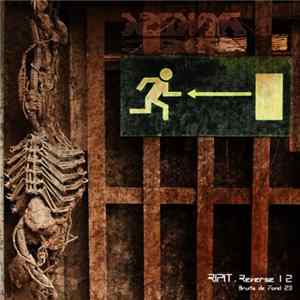 Ripit - Reverse 12 mp3