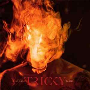 Tricky - Adrian Thaws mp3