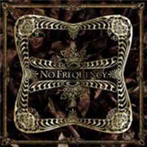 No Frequency - Demo mp3
