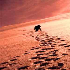 Solyaris - Ascension and Revelation mp3