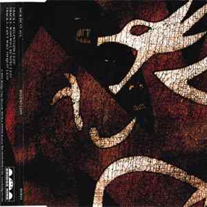 Sick Of It All - Relentless mp3