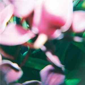 Trade Wind - You Make Everything Disappear mp3