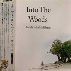 Malcolm Middleton - Into The Woods mp3